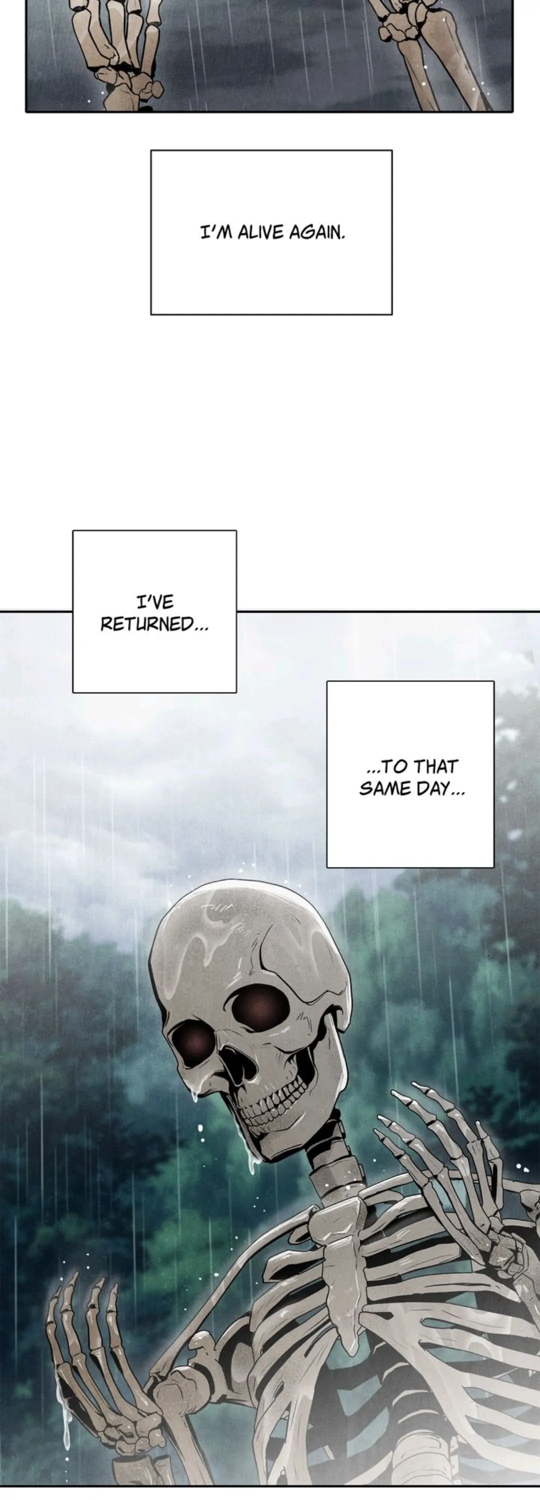 4253776 1080 3000 138902